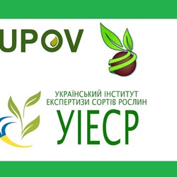 Робоча онлайн зустріч з представниками Бюро UPOV стосовно внесення даних до бази даних PLUTO