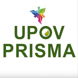 Участь у сімнадцятому засіданні з питань розробки електронної форми заявки, що організовано Бюро UPOV