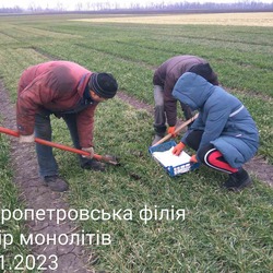 ВИЗНАЧЕННЯ СТАНУ ПОСІВІВ БОТАНІЧНИХ ТАКСОНІВ ОЗИМОГО ТИПУ РОЗВИТКУ