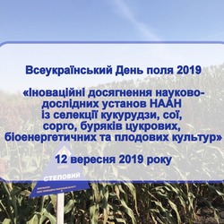 ФАХІВЦІ ІНСТИТУТУ ЕКСПЕРТИЗИ СОРТІВ РОСЛИН ВІДВІДАЛИ ВСЕУКРАЇНСЬКИЙ ДЕНЬ ПОЛЯ 2019