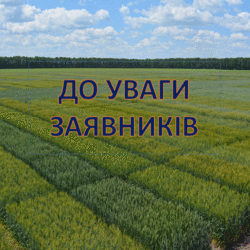 Про результати відрощування проб озимих культур у сортодослідах на придатність до поширення в Україні. 
