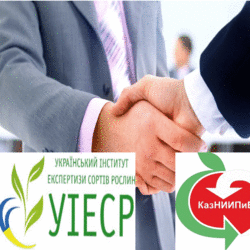 УІЕСР та ТОВ «Казахський НДІ плодівництва і виноградарства» будуть співпрацювати в рамках угоди про творче співробітництво.